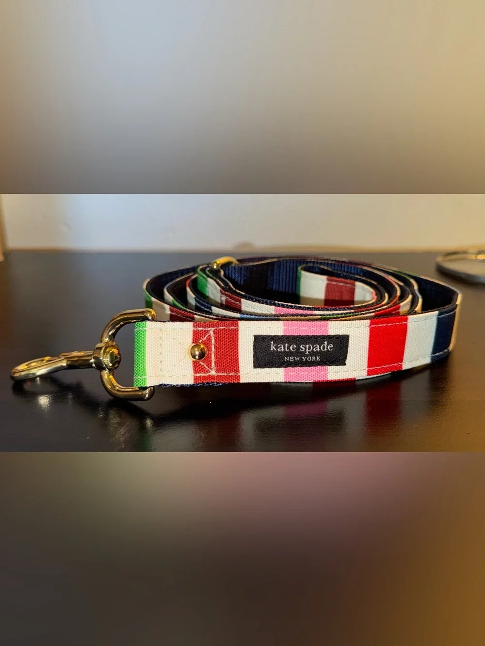 Kate Spade Adventure Stripe Leash M/L